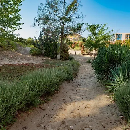 Menada Dune
